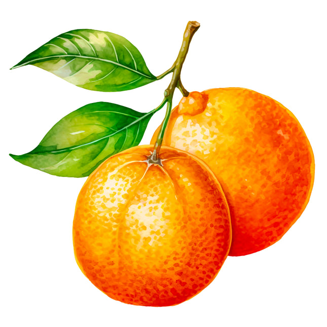 Fruit Oranges 100% Cotton Fabric Panel Block EE507