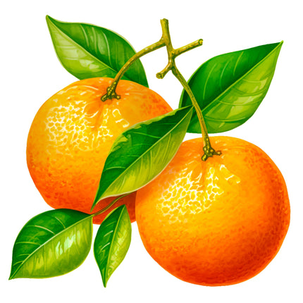 Fruit Oranges 100% Cotton Fabric Panel Block EE510