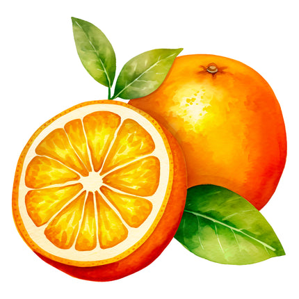 Fruit Oranges 100% Cotton Fabric Panel Block EE518