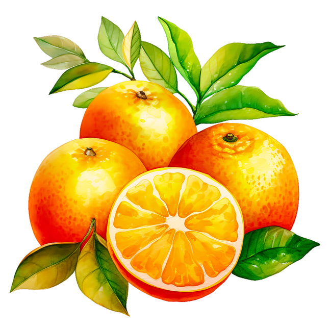 Fruit Oranges 100% Cotton Fabric Panel Block EE525