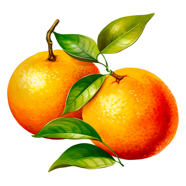 Fruit Oranges 100% Cotton Fabric Panel Block EE527