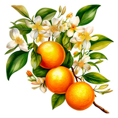 Collection image for: Fruit & Vegetables