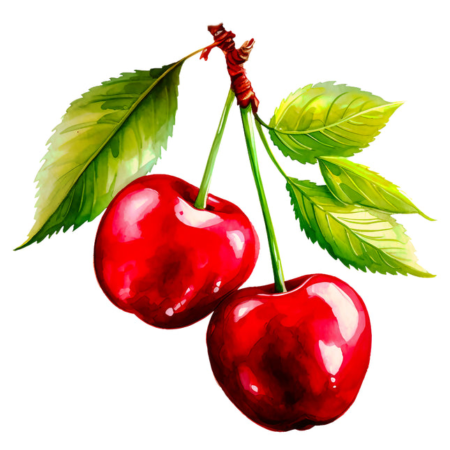 Cherries Fruit 100% Cotton Fabric Panel Block EE648