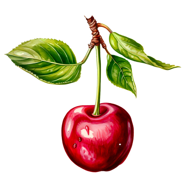 Cherry 100% Cotton Fabric Panel Block EE650