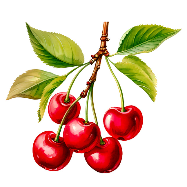 Cherries 100% Cotton Fabric Panel Block EE651