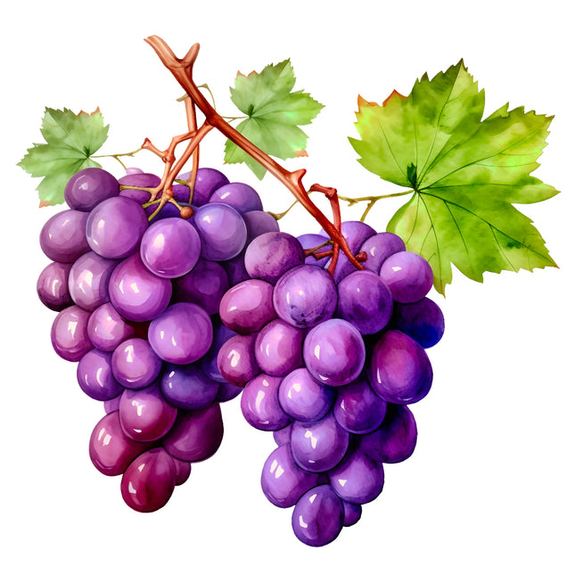 Grapes 100% Cotton Fabric Panel Block EE662