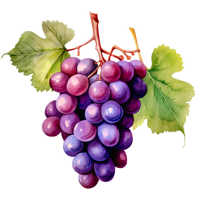 Grapes 100% Cotton Fabric Panel Block EE663