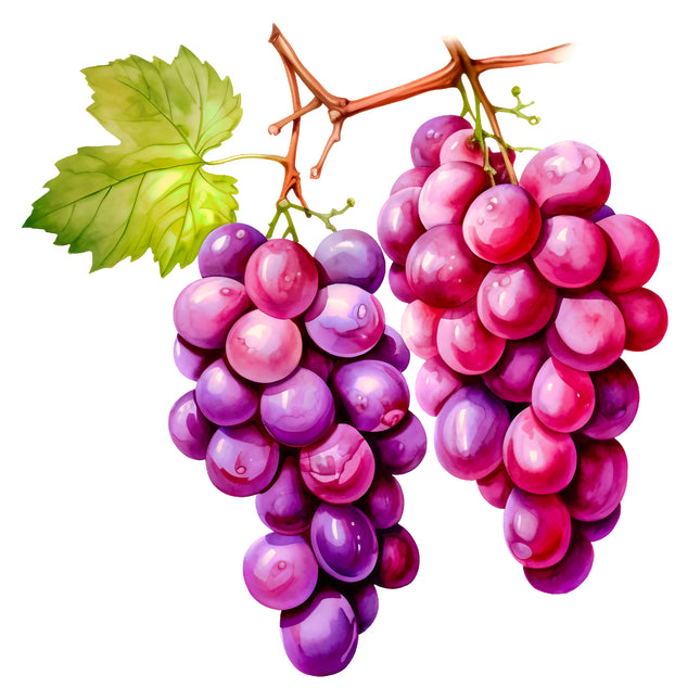 Fruit Grapes 100% Cotton Fabric Panel Block EE665