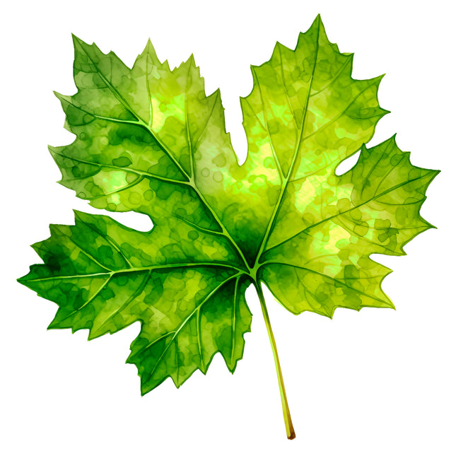 Single Green Leaf 100% Cotton Fabric Panel Block EE667