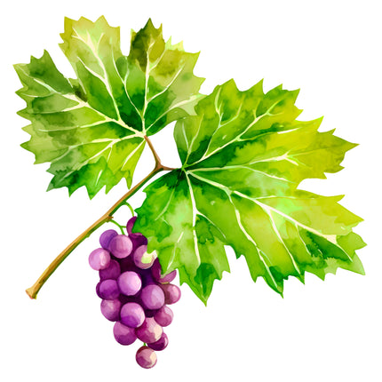 Fruit Grapes 100% Cotton Fabric Panel Block EE669