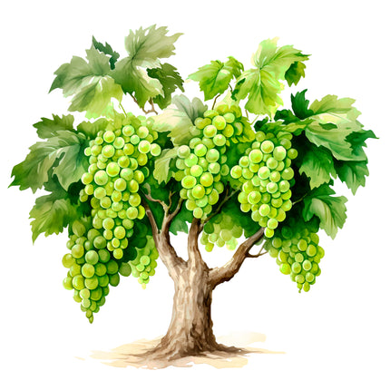 Fruit Grape Tree 100% Cotton Fabric Panel Block EE676