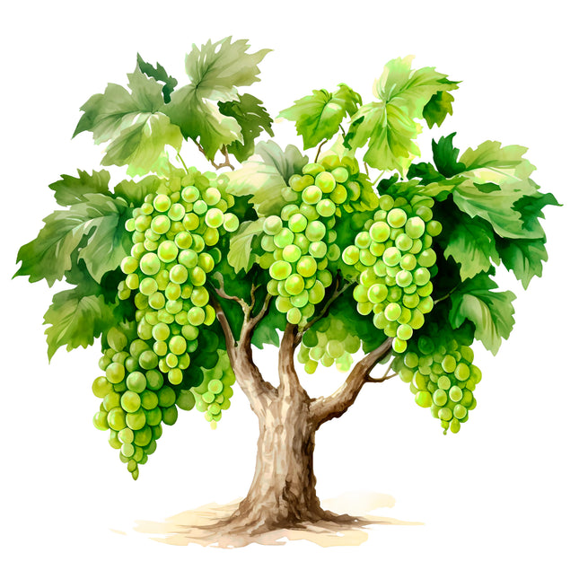 Fruit Grape Tree 100% Cotton Fabric Panel Block EE676