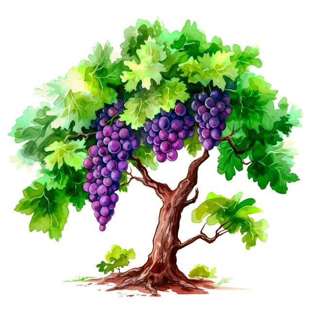 Fruit Grape Tree 100% Cotton Fabric Panel Block EE677