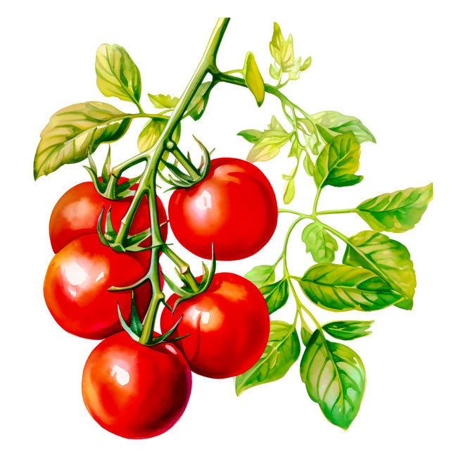 Tomatoes 100% Cotton Fabric Panel Block EE682