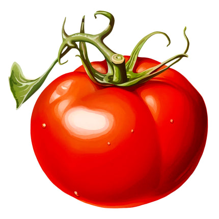 Tomato 100% Cotton Fabric Panel Block EE685