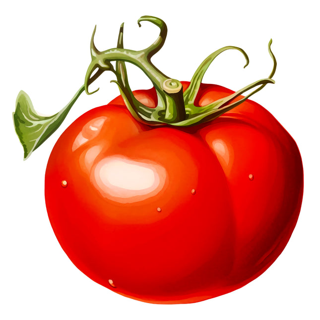 Tomato 100% Cotton Fabric Panel Block EE685