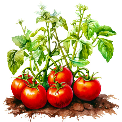 Tomato plant with red tomatoes quilt block