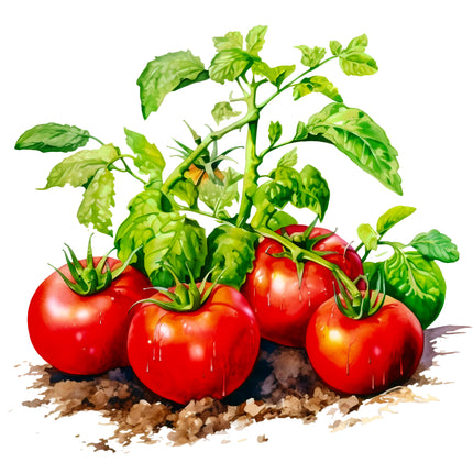 Tomatoes 100% Cotton Fabric Panel Block EE696