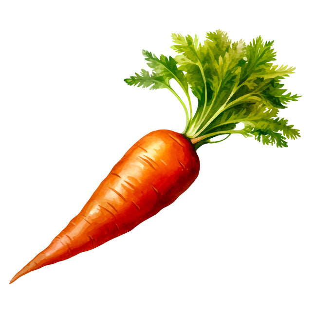 Carrot 100% Cotton Fabric Panel Block EE705