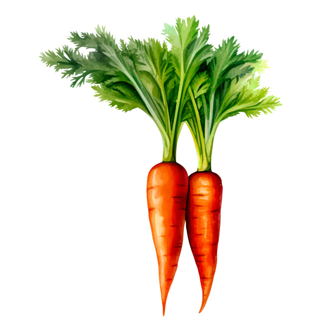 Carrots 100% Cotton Fabric Panel Block EE706