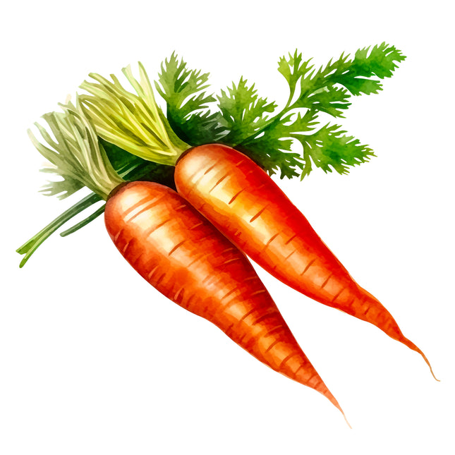 Carrots 100% Cotton Fabric Panel Block EE708