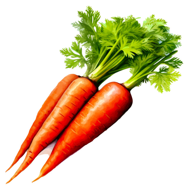 Carrots 100% Cotton Fabric Panel Block EE710