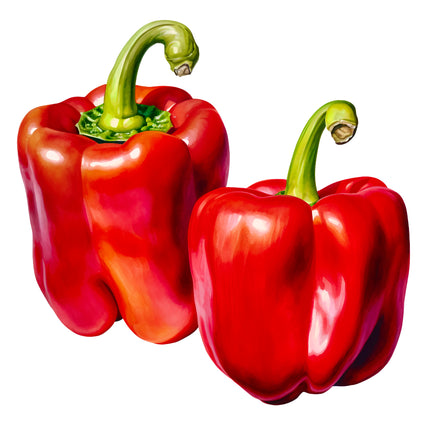 Red Peppers 100% Cotton Fabric Panel Block EE711