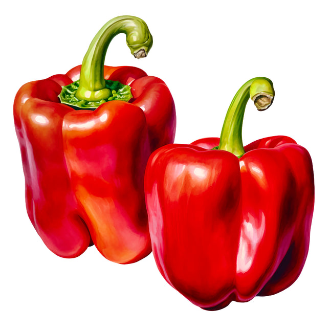 Red Peppers 100% Cotton Fabric Panel Block EE711