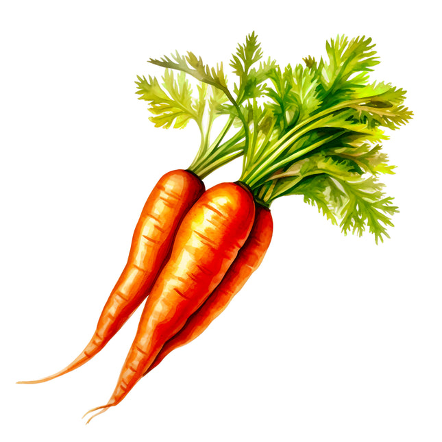 Carrots 100% Cotton Fabric Panel Block EE713