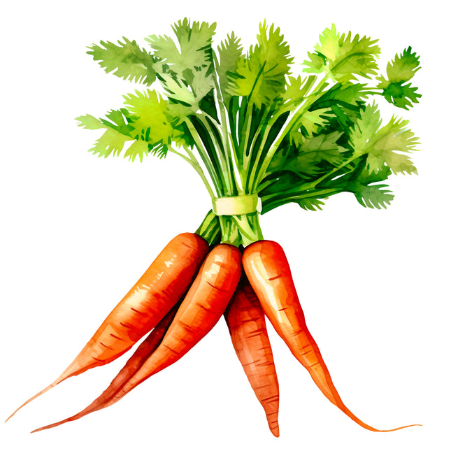 Carrots 100% Cotton Fabric Panel Block EE715