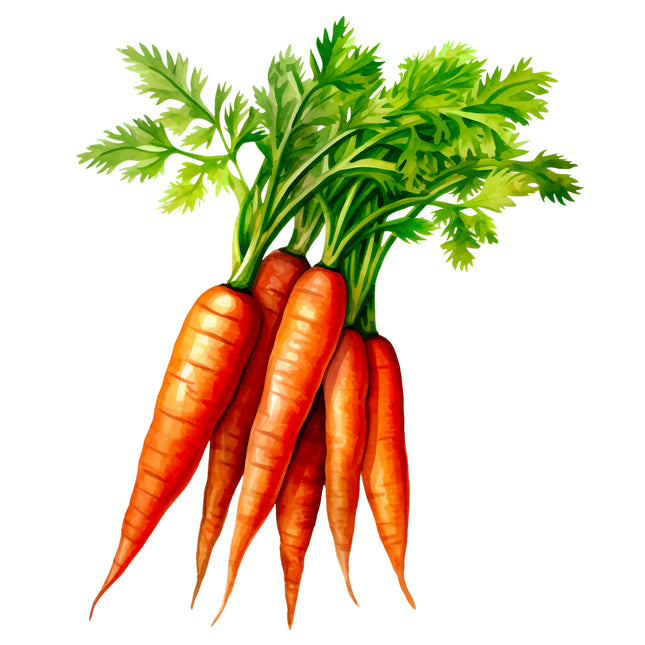 Carrots 100% Cotton Fabric Panel Block EE717