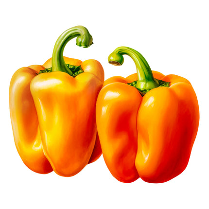 Orange Peppers 100% Cotton Fabric Panel Block EE718