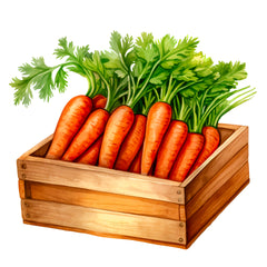 Collection image for: Carrots