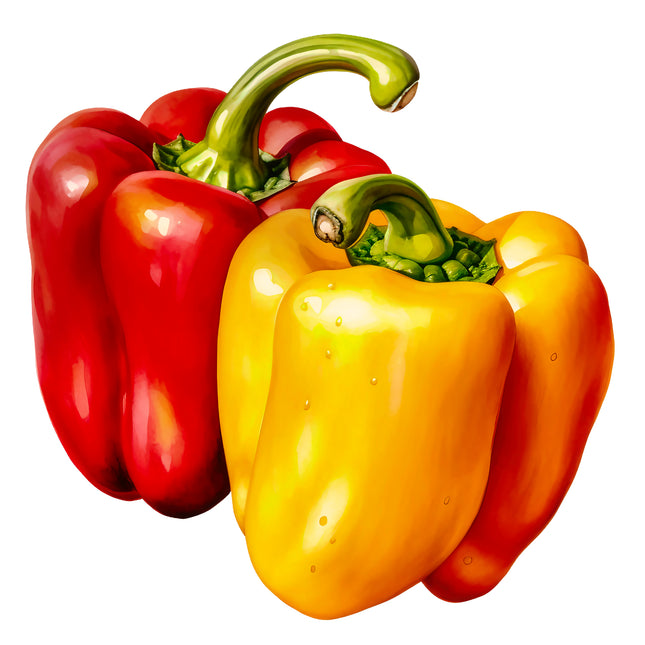 Peppers 100% Cotton Fabric Panel Block EE731