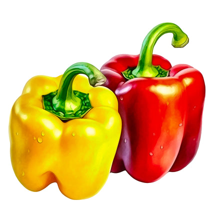 Peppers 100% Cotton Fabric Panel Block EE736