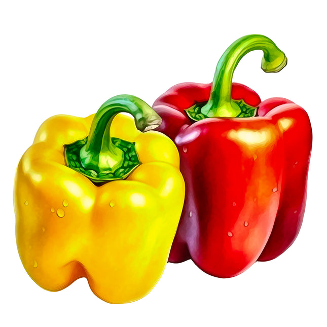 Peppers 100% Cotton Fabric Panel Block EE736