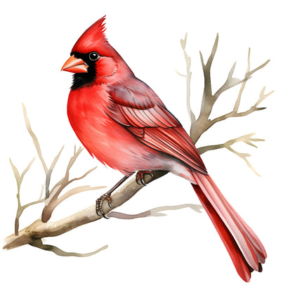 A digitally printed 100% cotton fabric panel featuring a red cardinal bird perched on a branch with no leaves.