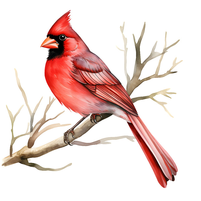 A digitally printed 100% cotton fabric panel featuring a red cardinal bird perched on a branch with no leaves.