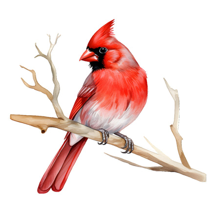 Red cardinal bird perched on a branch fabric block