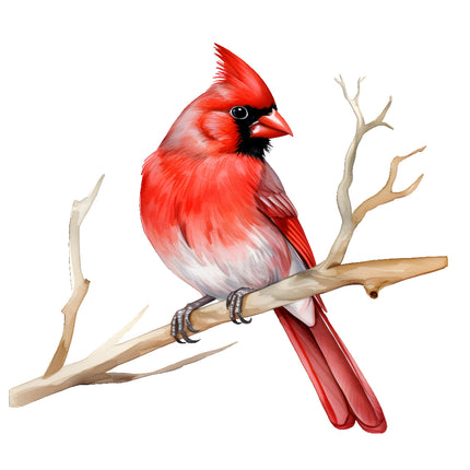 Red cardinal bird perched on a branch quilt panel