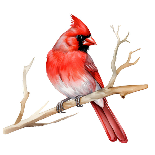 Red cardinal bird perched on a branch quilt panel