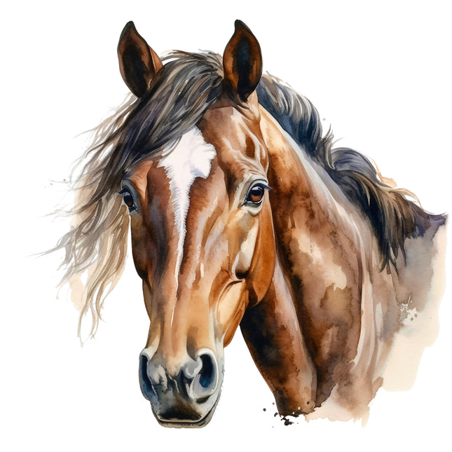 Horse 100% Cotton Fabric Panel Block AA1708