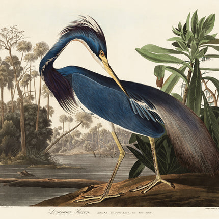 A fabric panel featuring a digital print of a heron bird from the series 'Birds of America' by John James Audubon.