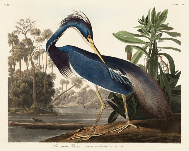 A fabric panel featuring a digital print of a heron bird from the series 'Birds of America' by John James Audubon.