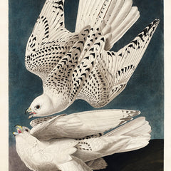 A digitally printed 100% cotton fabric panel featuring two white birds of America, resembling cranes, with detailed feather patterns on a blue background.