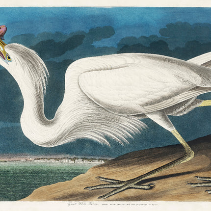 A fabric panel featuring a digital print of John James Audubon's illustration of a Great White Heron.