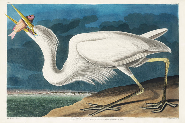 A fabric panel featuring a digital print of John James Audubon's illustration of a Great White Heron.
