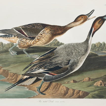 Illustration of two ducks on a landscape with trees and water fabric panel