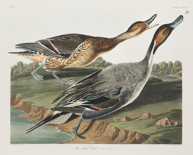 Illustration of two ducks on a landscape with trees and water fabric panel