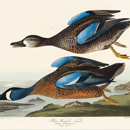 Illustration of two ducks with a landscape background fabric panel